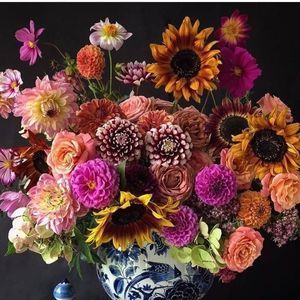 Meet your Posher, Annie